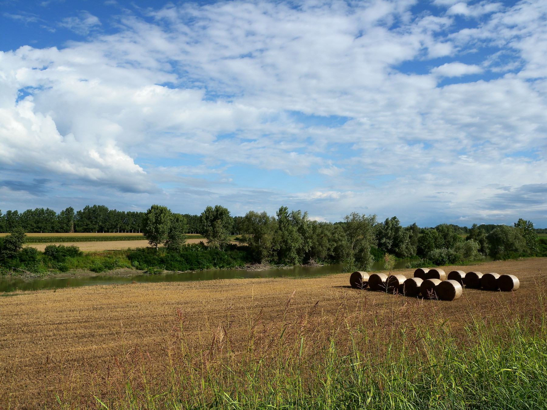 azienda agricola